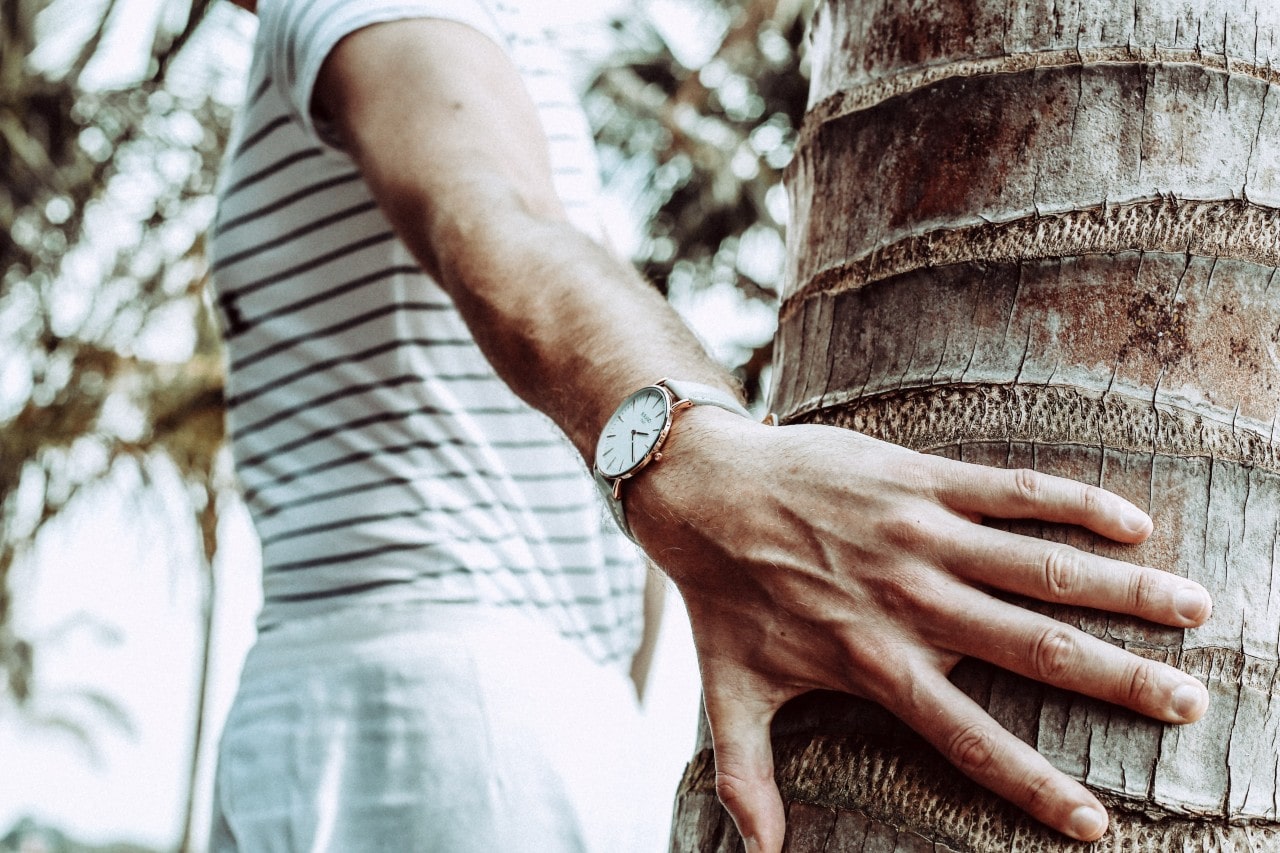 A close-up of a man in a white striped shirt holding a tree, showcasing a watch on his wrist with white dial and leather strap