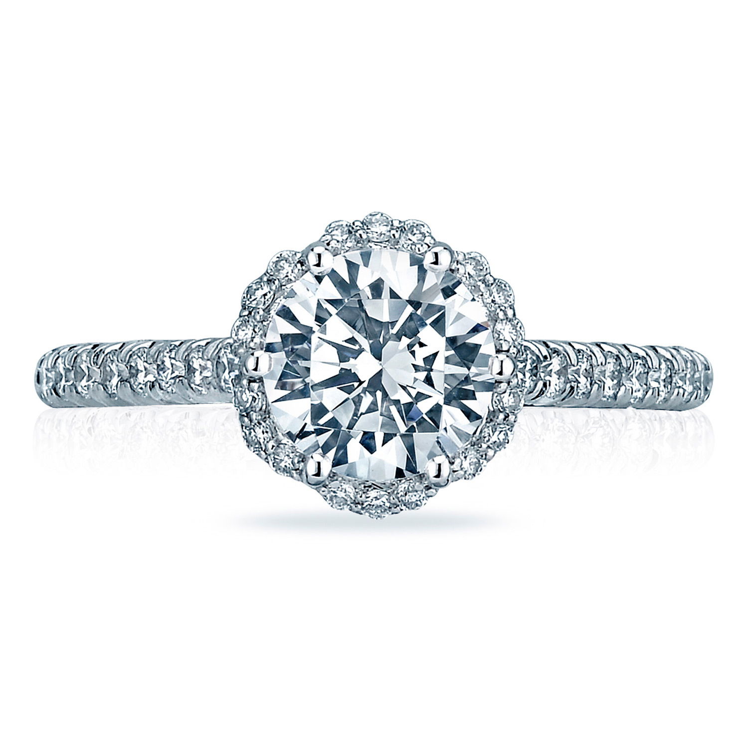RI-D=.33 18KWG SZ6.50 CZ RI-D=.33 18KWG SZ6.50 CZ